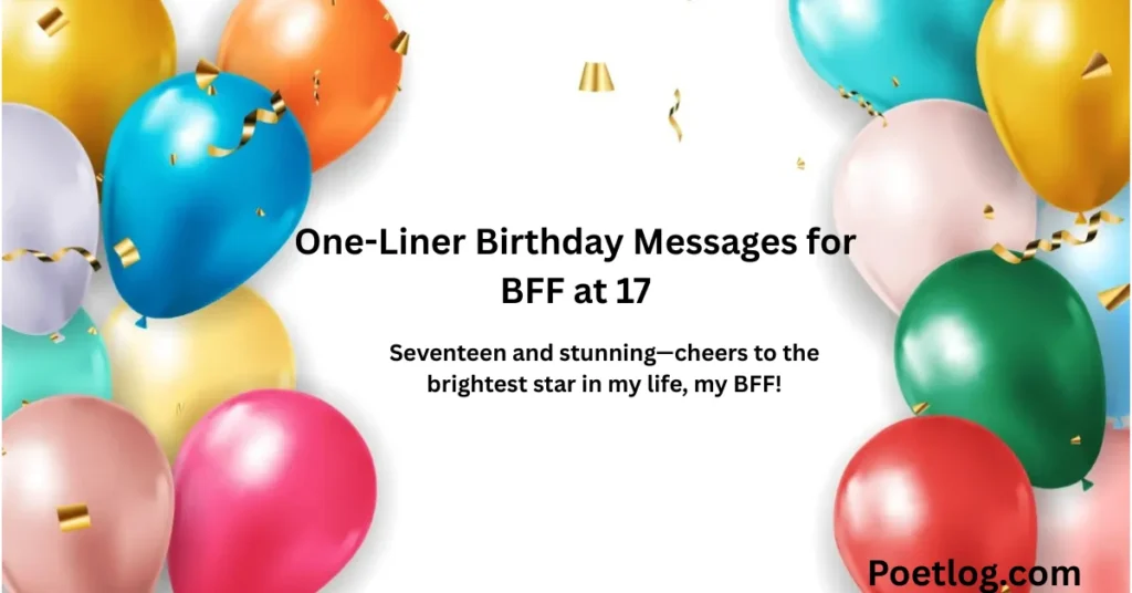One-Liner Birthday Messages for BFF at 17
