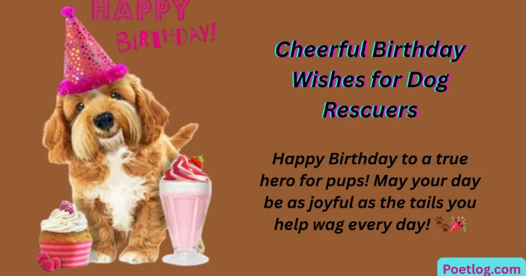 Cheerful Birthday Wishes for Dog Rescuers