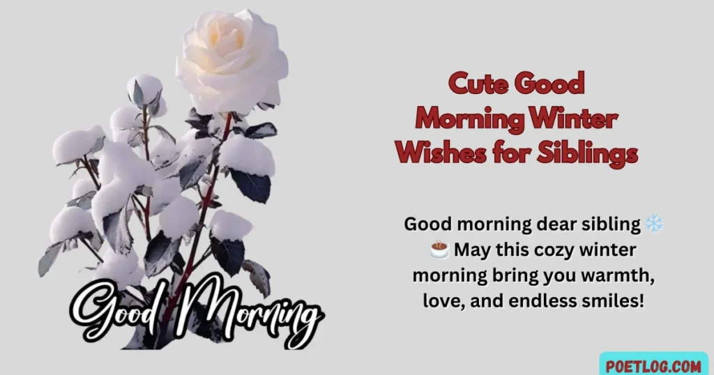 Cute Good Morning Winter Wishes for Siblings