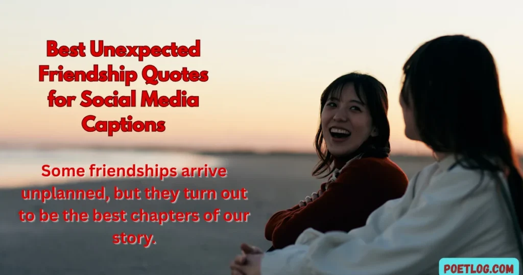250+ Heartwarming Quotes for Unexpected Friendship That Lasts a Lifetime Best Unexpected Friendship Quotes for Social Media Captions