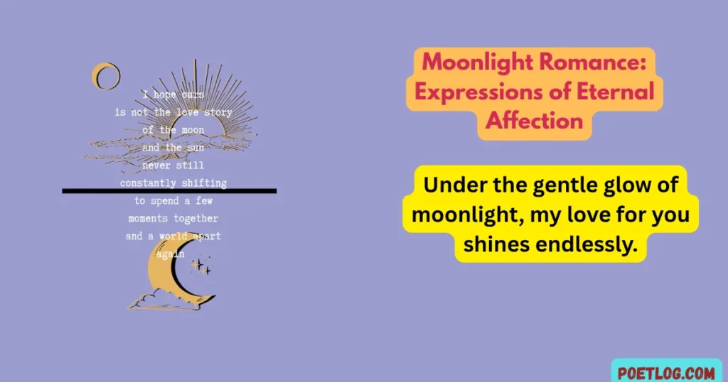 Moonlight Romance: Expressions of Eternal Affection