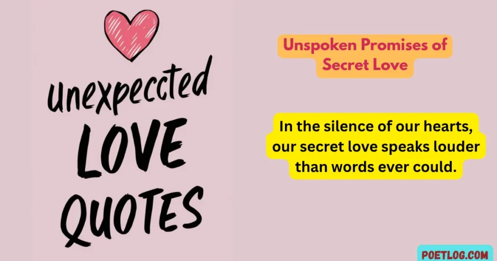 Unspoken Promises of Secret Love