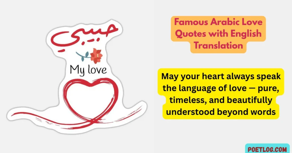 Famous Arabic Love Quotes with English Translation