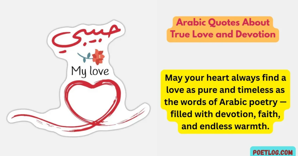 Arabic Quotes About True Love and Devotion