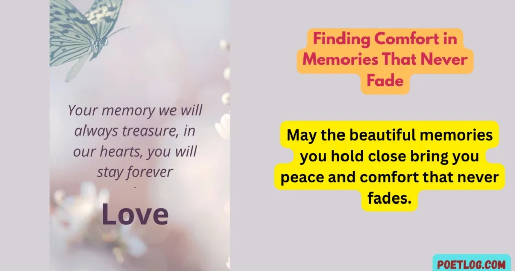 Finding Comfort in Memories That Never Fade